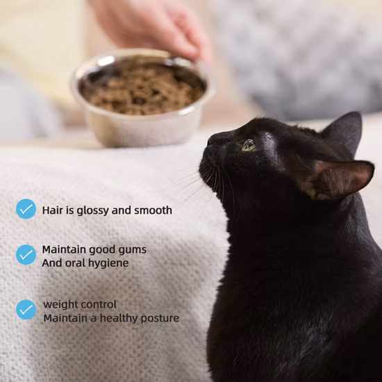 Fournisseur chinois d'aliments pour animaux de compagnie cuits au four avec de la viande fraîche d'OEM